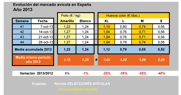 mercado_y_precios_del_pollo_y_huevos_en_espana_Ano2013.jpg