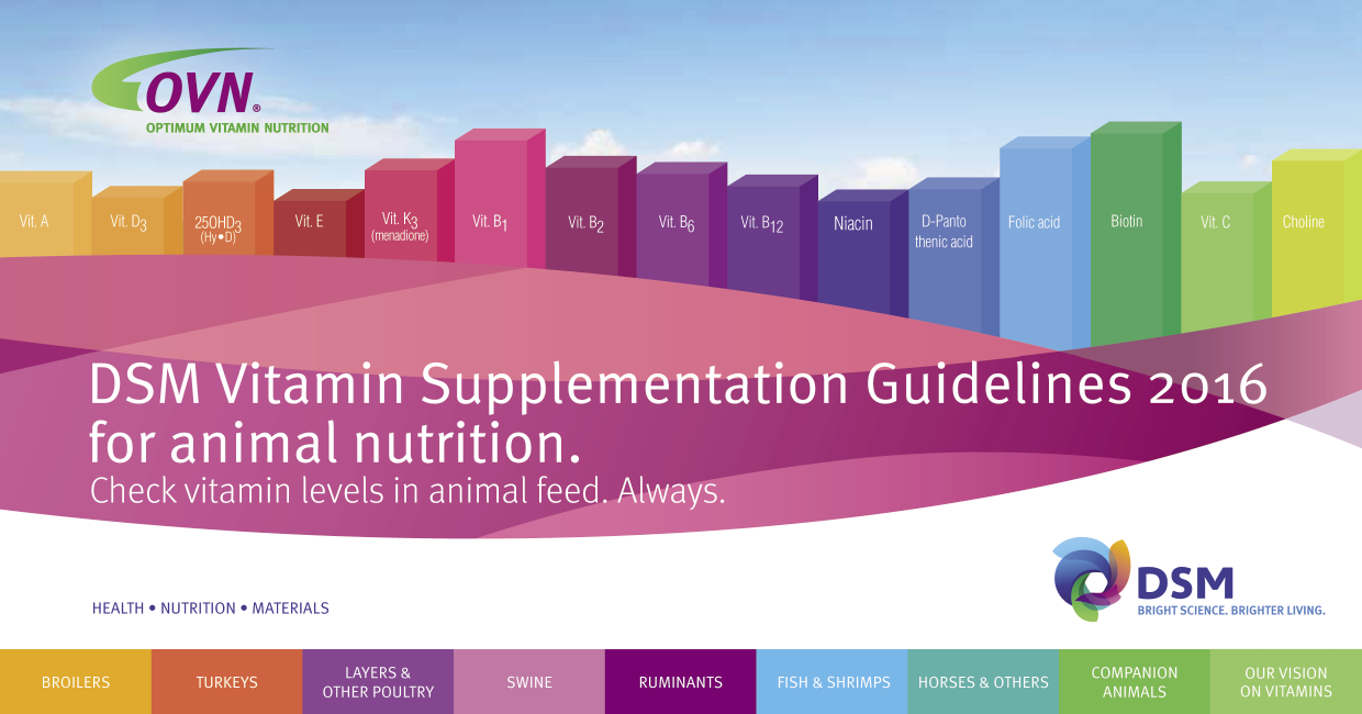 Vitamin_Supp_Guidelines_opt.png