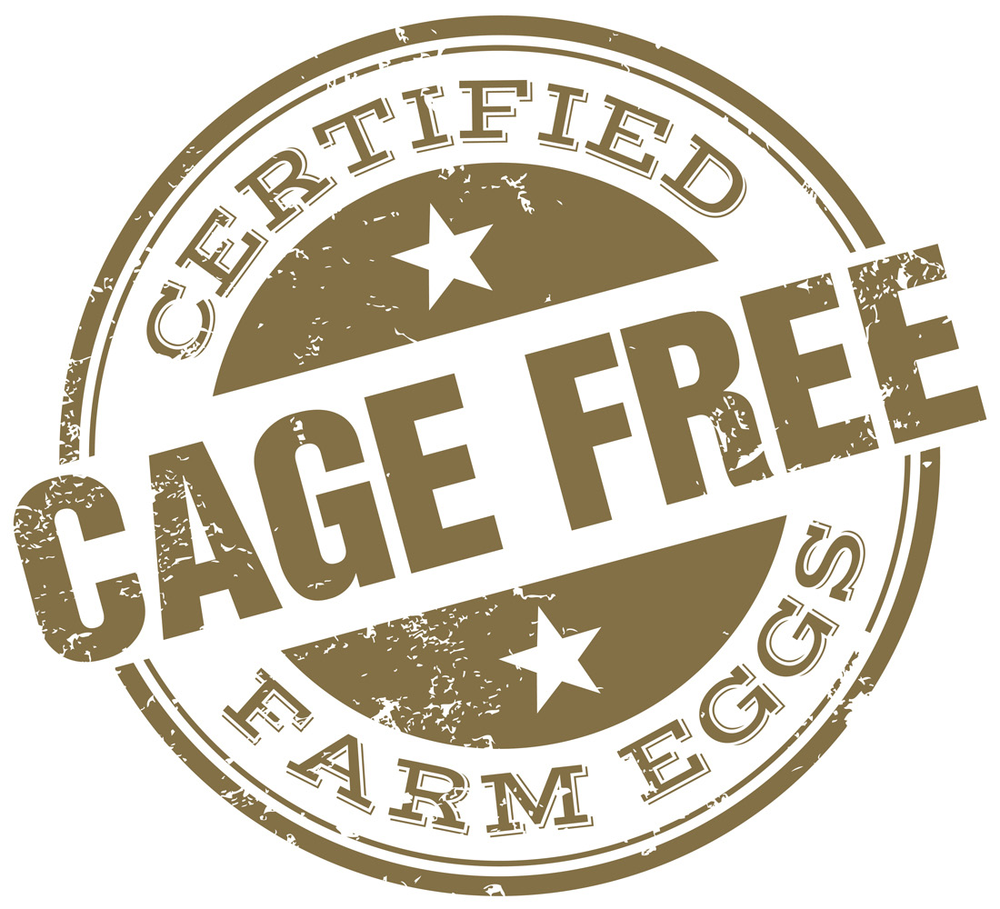 farm_cage_free_eggs_st_opt.jpeg