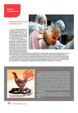 Nueva cepa del virus de la influenza aviar