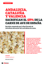 Andalucía, Cataluña y Valencia sacrifican el 58% de la carne de ave de España