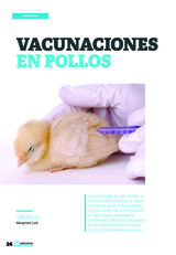 Vacunaciones en pollos