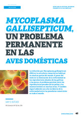 Mycoplasma gallisepticum, un problema permanente en las aves domésticas