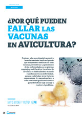 ¿Por qué pueden fallar las vacunas en avicultura?
