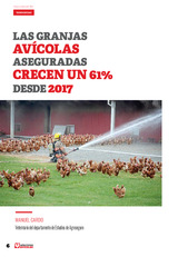 Las granjas avícolas aseguradas crecen un 61% desde 2017