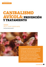 Canibalismo avícola: prevención y tratamiento