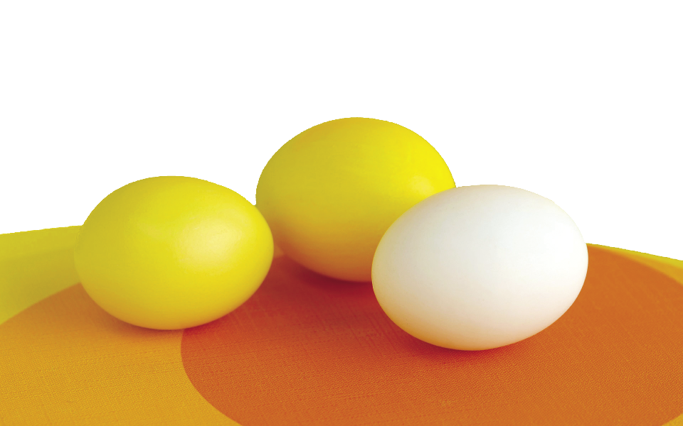 Yellow_eggs_015920__opt.png