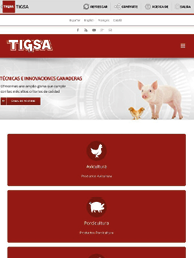 tigsa_info_2.png